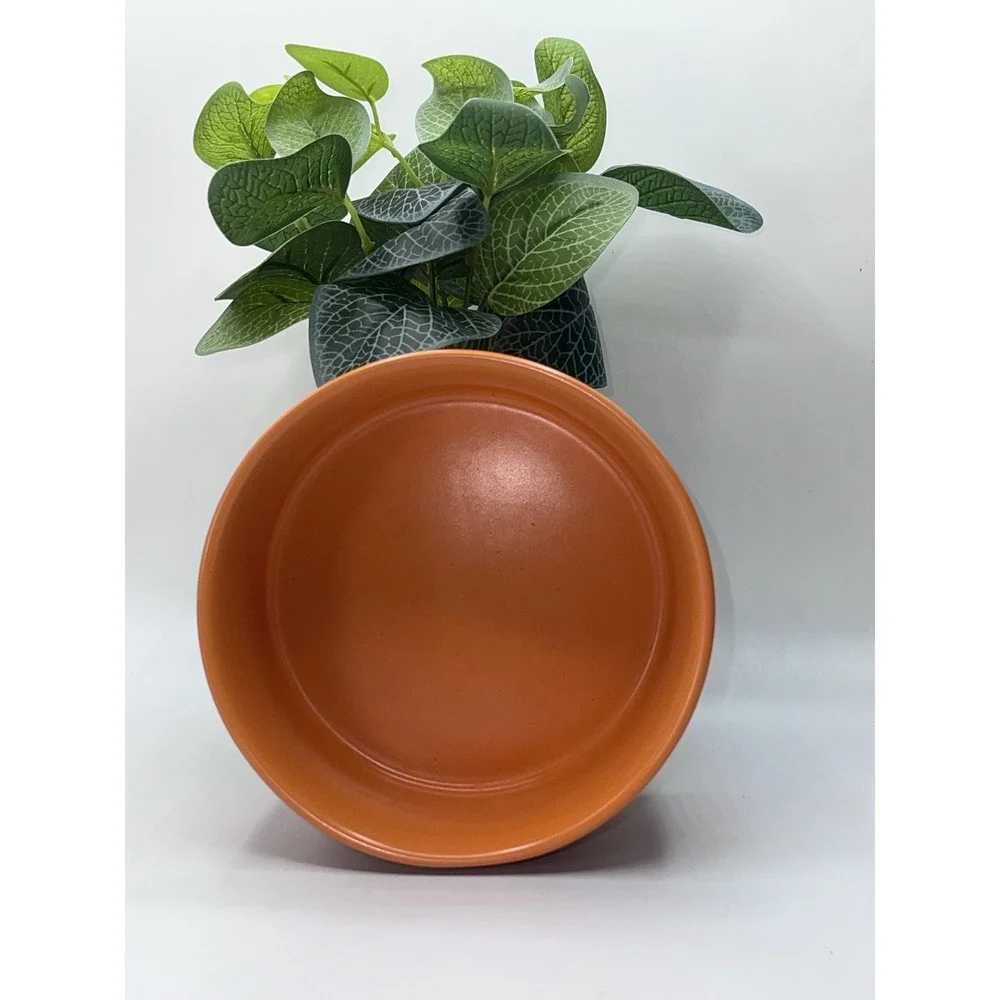 NICE!! Rae Dunn Pet Bowl Dish Bowl Orange Halloween Fall SPOOKY Cat Dog